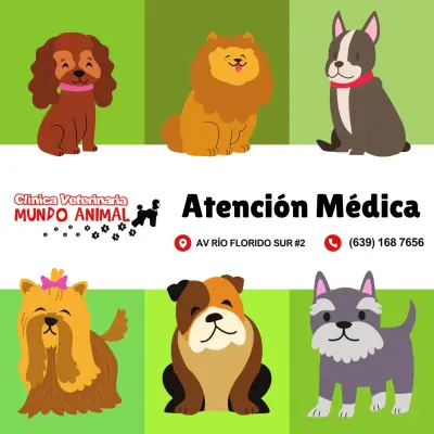 Clinica Veterinaria Mundo Animal en Delicias
